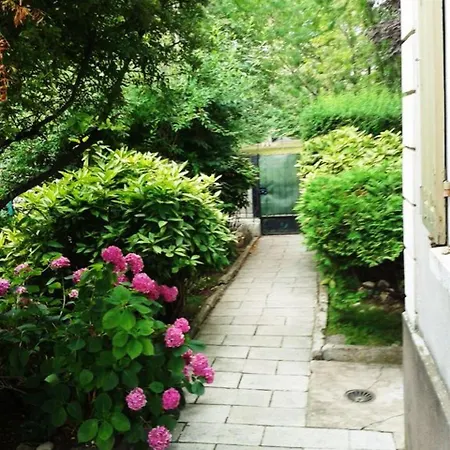 Allee Nathan Katz * Mulhouse